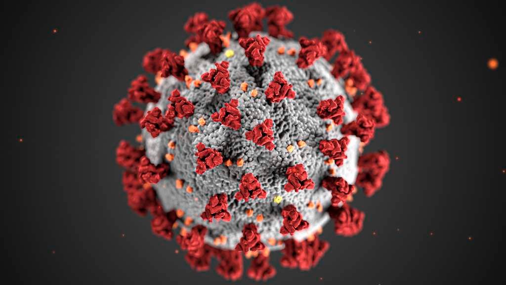 covid-19-coronavirus-covid-cell-pandemic-corona-virus-1608796-pxhere.com (2)